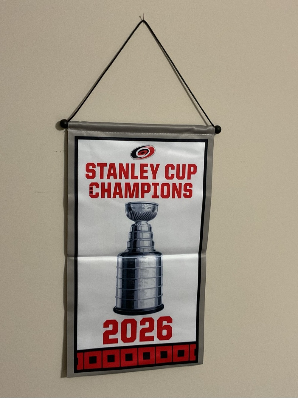 ⭐️ NEW ⭐️ Carolina Hurricanes 2026 Stanley Cup Champions Official Mini Banner